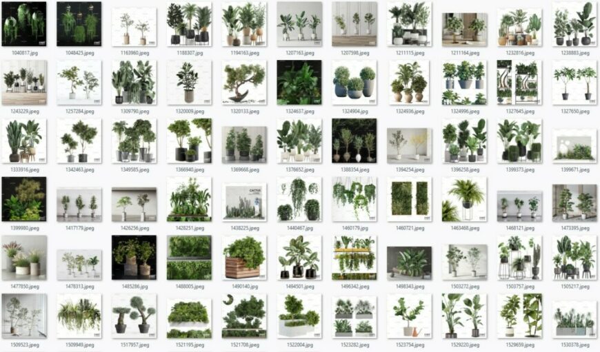 Plant Collection Part 4